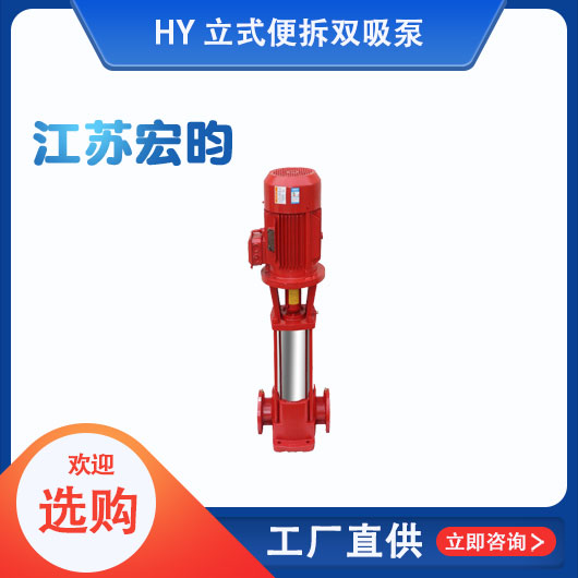  立式便拆雙吸泵